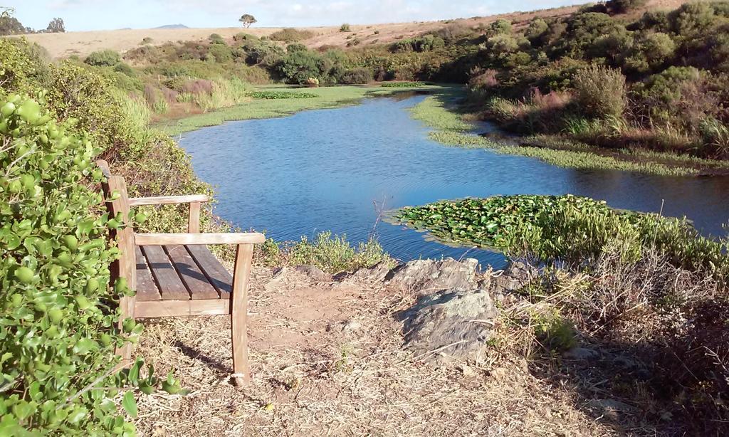 Herdade Do Pessegueiro Porto Covo Exterior foto